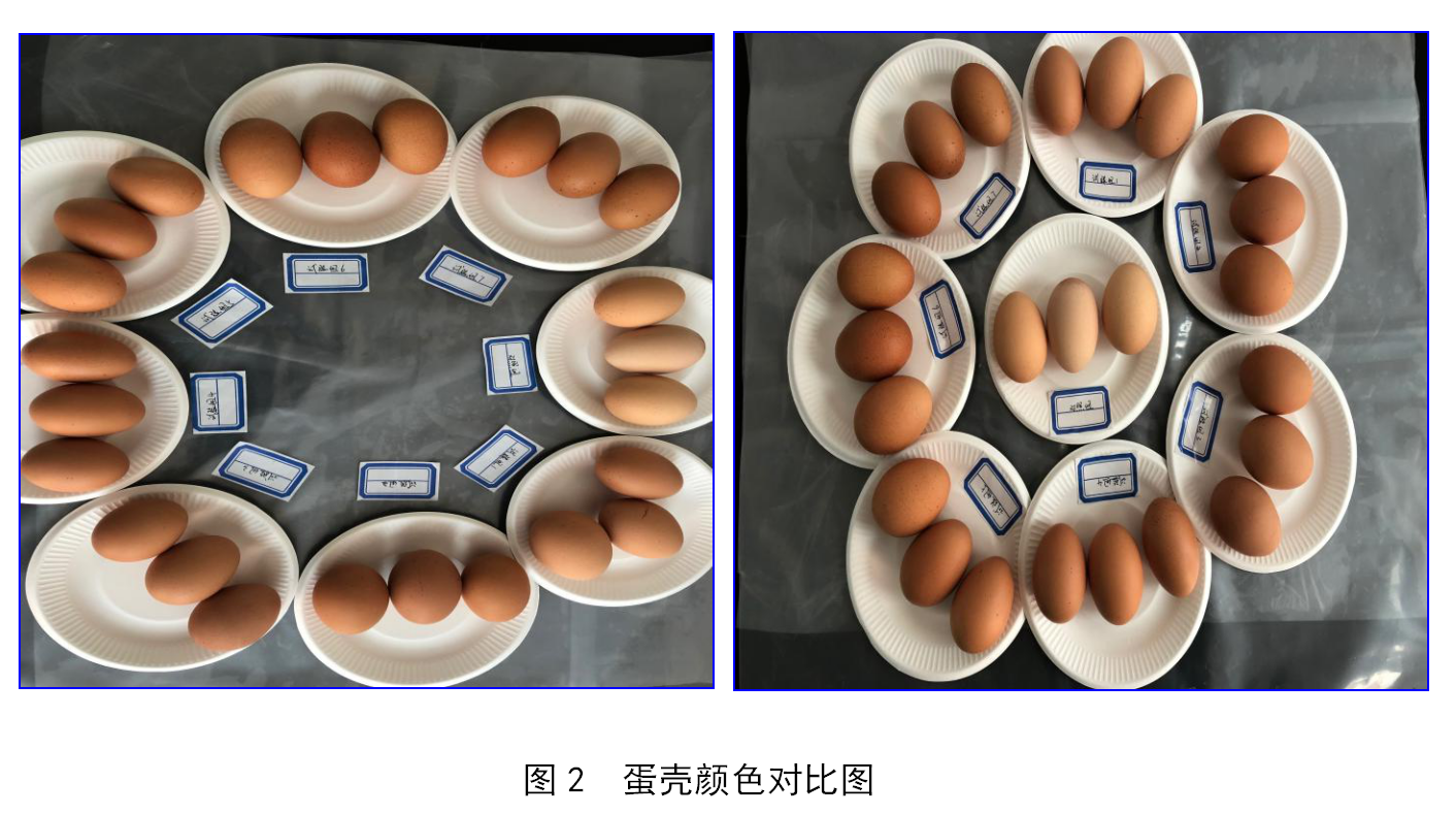 suncitygroup太阳集团(中国游)官方网站